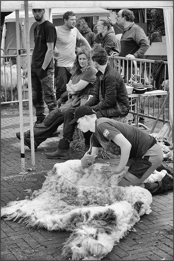 Bonte Schaap Festival, Rheden (08Jun25)